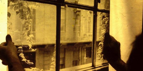 antonio trotta
