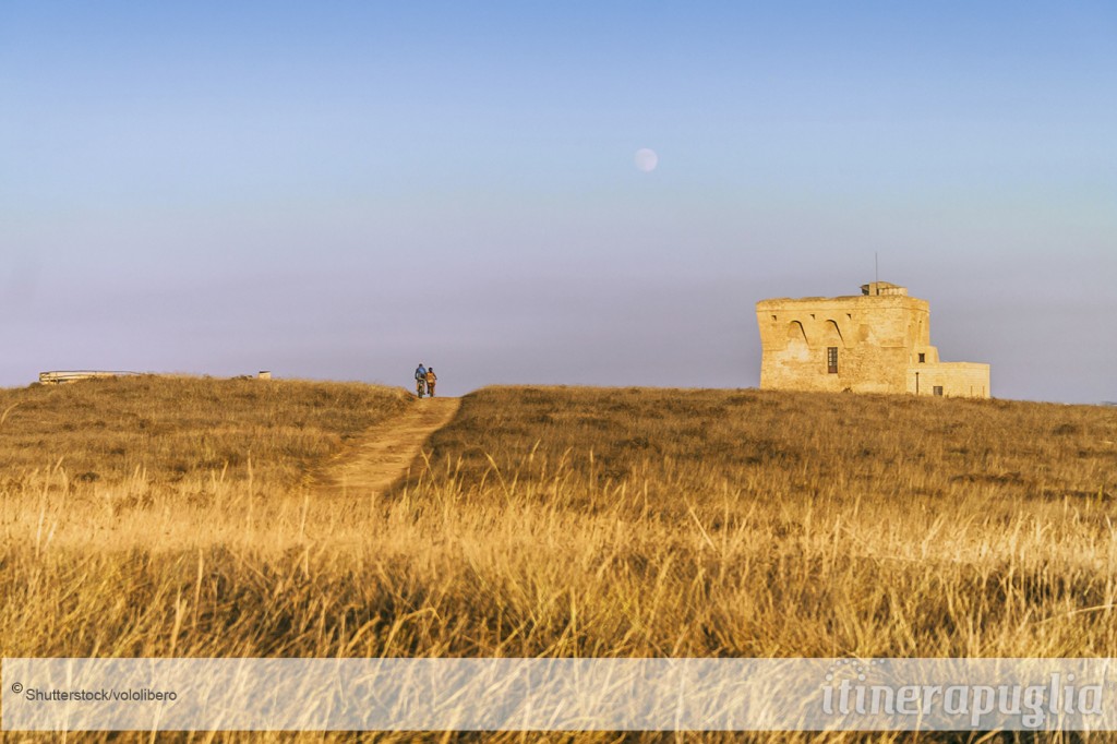 11A2180shutterstock_424026289 vololibero copia