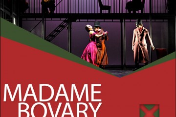 Madame-Bovary