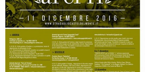 Locandina Frantoi Aperti