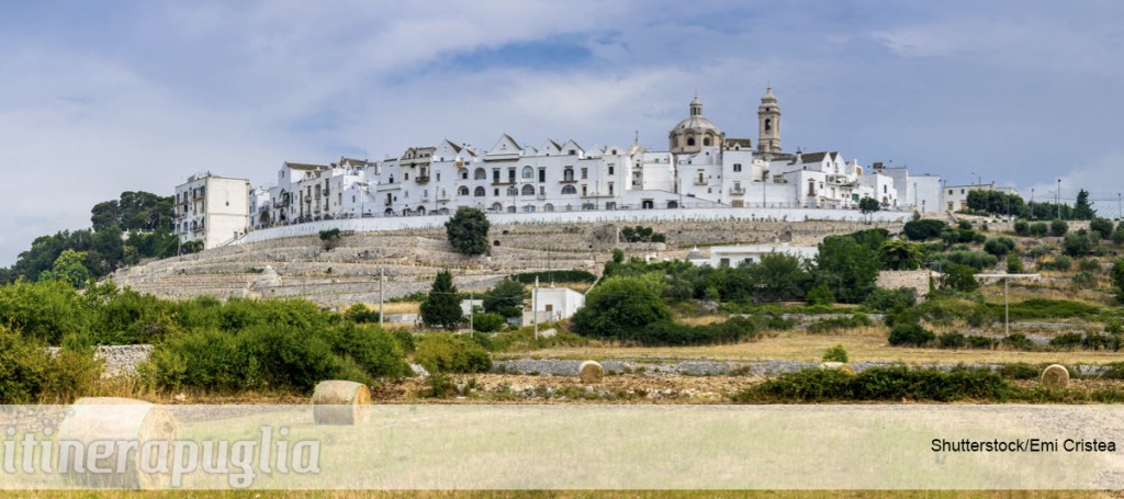 11a2055shutterstock_310594157emi-cristea
