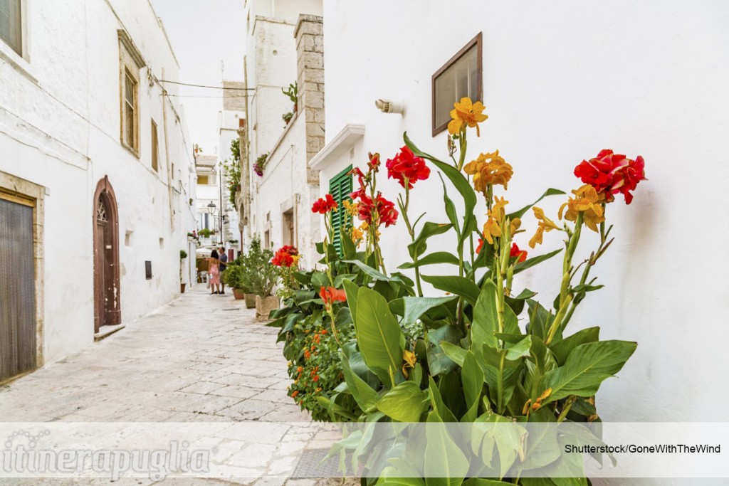 11a2530-shutterstock_497929789_gonewiththewind