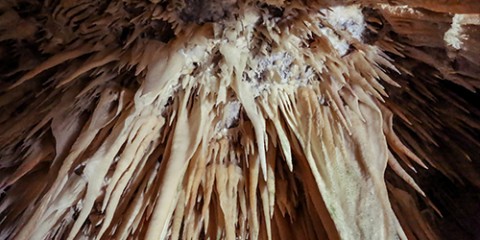 dettaglio grotte