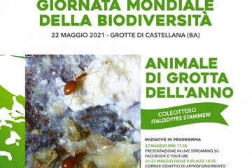 LOCANDINA_Biodiversita