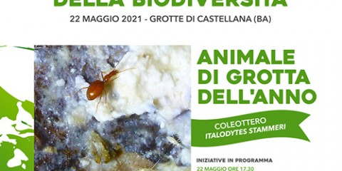 LOCANDINA_Biodiversita