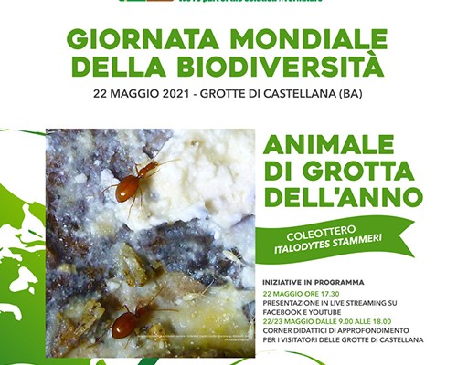 LOCANDINA_Biodiversita