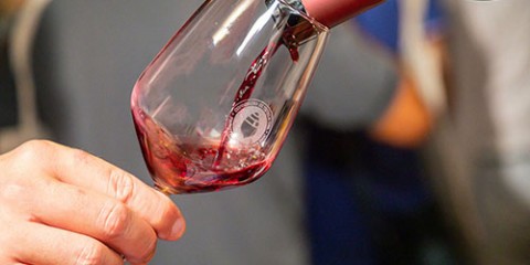 degustazione 4